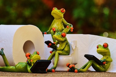Potty Frogs
